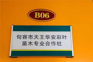 喜訊！華東森林產(chǎn)品電商城入選首批江蘇省鄉(xiāng)鎮(zhèn)電子商務(wù)特色產(chǎn)業(yè)園區(qū)